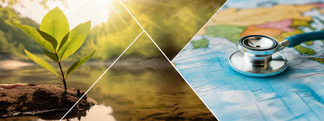 oint Transnational Call 2025