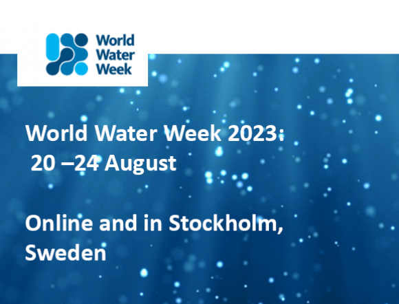 World Water Week