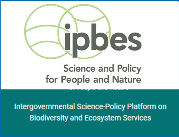 IPBES