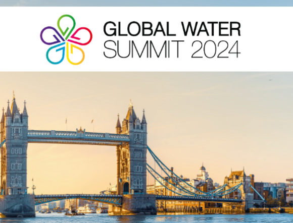 global water summit