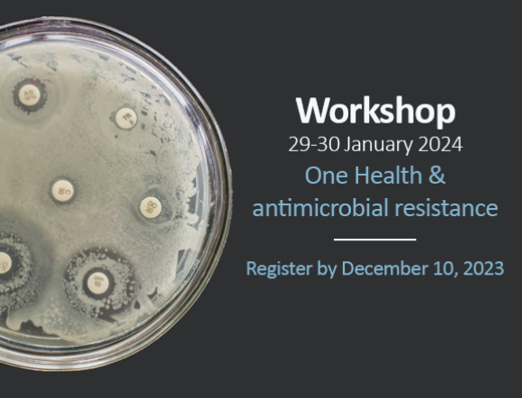 AMR workshop