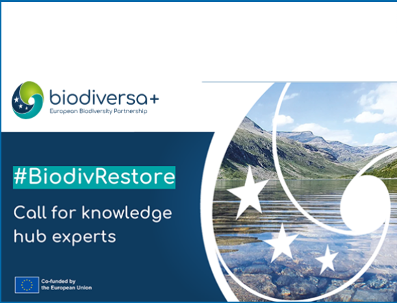 BiodivRestore knowledge Hub