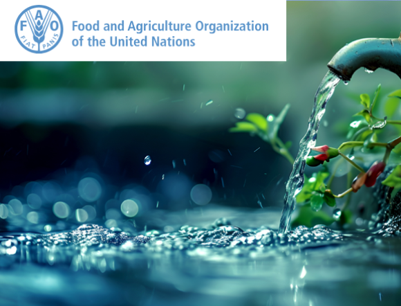 FAO report Water4All