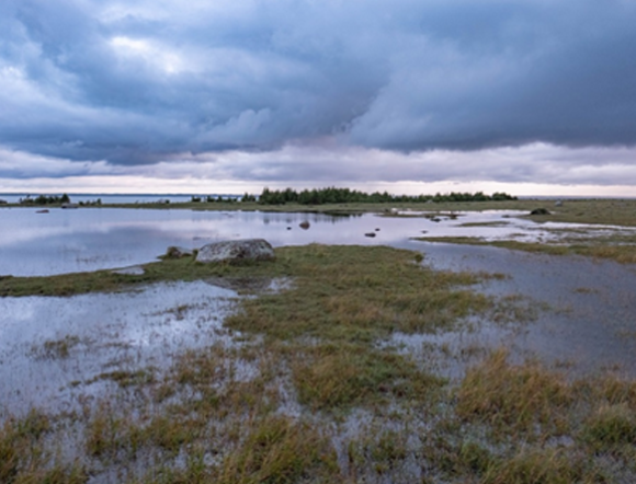Wetlands Water4All