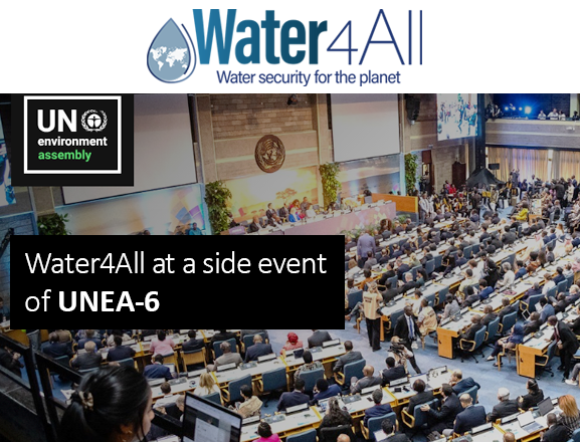 UNEA-6