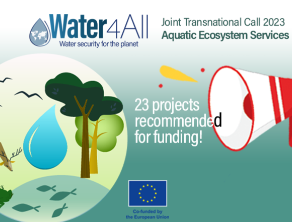 Aquatic Ecosystem Services projects