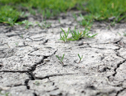 flash droughts