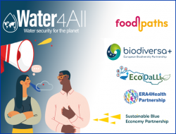 partnership communication