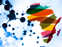 research developement africa