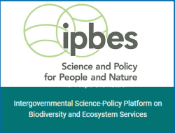 IPBES