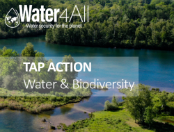 Water4All tap action