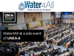 UNEA-6
