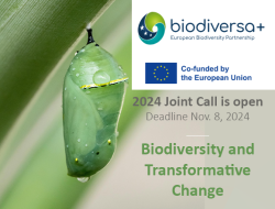 Biodiversa+ Call 2024