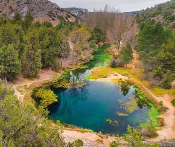 aquigrow