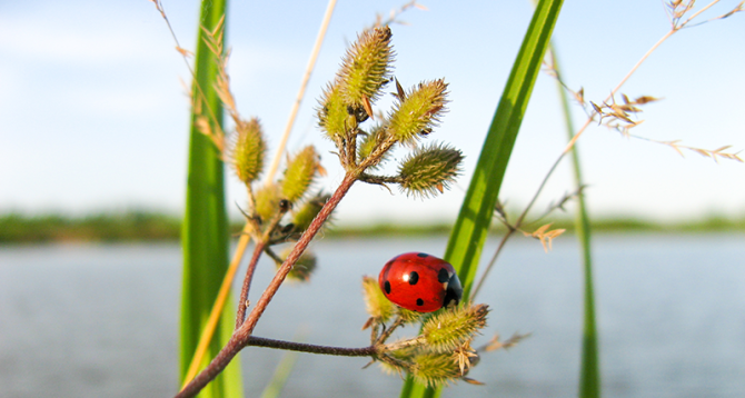 TAP water & biodiversity