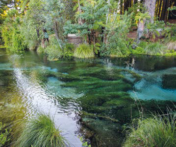 greenadapt2extremes project