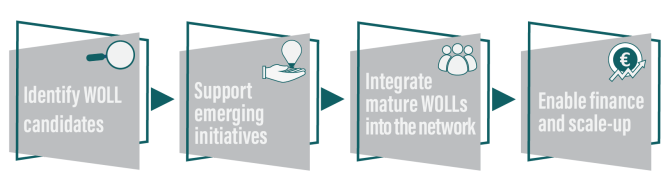 WOLLs lifecycle